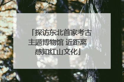 探访东北首家考古主题博物馆 近距离感知红山文化