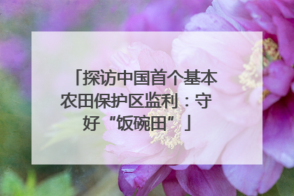 探访中国首个基本农田保护区监利：守好“饭碗田”