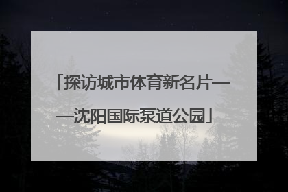 探访城市体育新名片——沈阳国际泵道公园