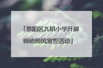 恩阳区九镇小学开展师德师风宣誓活动