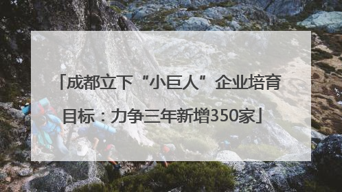 成都立下“小巨人”企业培育目标：力争三年新增350家