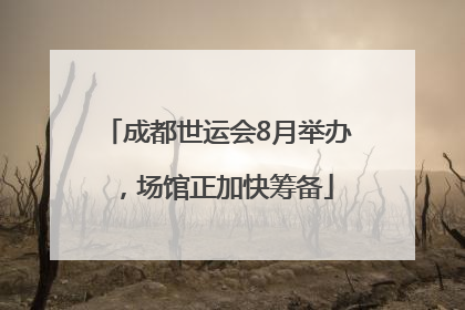 成都世运会8月举办，场馆正加快筹备