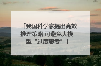 我国科学家提出高效推理策略 可避免大模型“过度思考”