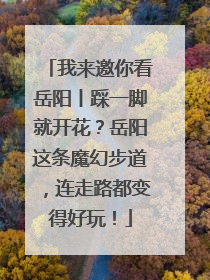 我来邀你看岳阳丨踩一脚就开花？岳阳这条魔幻步道，连走路都变得好玩！