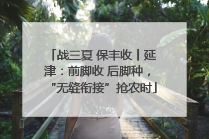 战三夏 保丰收丨延津：前脚收 后脚种，“无缝衔接”抢农时