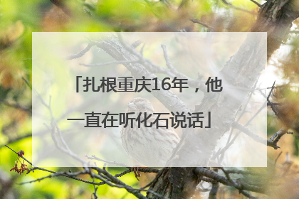 扎根重庆16年，他一直在听化石说话