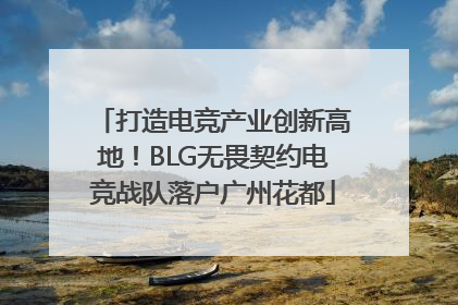打造电竞产业创新高地！BLG无畏契约电竞战队落户广州花都