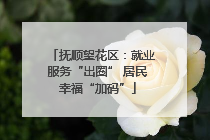 抚顺望花区：就业服务“出圈” 居民幸福“加码”