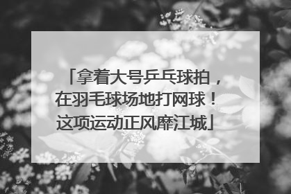 拿着大号乒乓球拍，在羽毛球场地打网球！这项运动正风靡江城