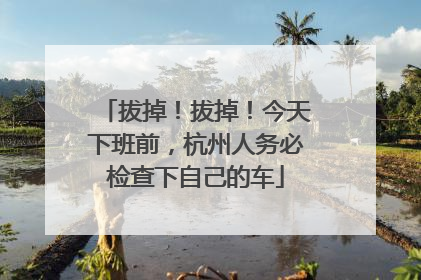 拔掉！拔掉！今天下班前，杭州人务必检查下自己的车