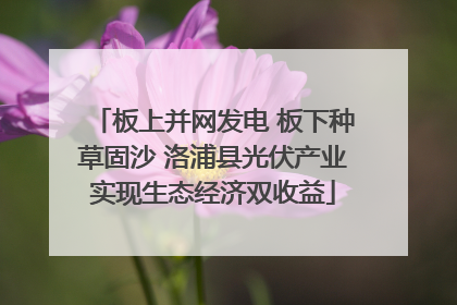 板上并网发电 板下种草固沙 洛浦县光伏产业实现生态经济双收益