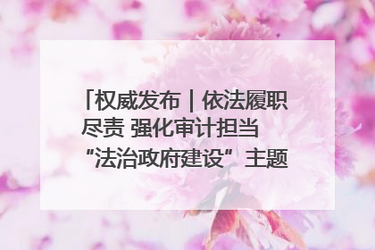 权威发布｜依法履职尽责 强化审计担当 “法治政府建设”主题系列新闻发布会市审计局专场召开