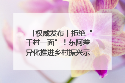 权威发布｜拒绝“千村一面”！东阿差异化推进乡村振兴示范片区建设