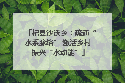 杞县沙沃乡：疏通“水系脉络” 激活乡村振兴“水动能”