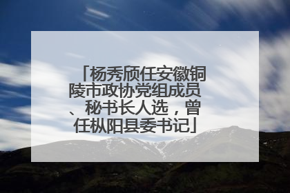 杨秀颀任安徽铜陵市政协党组成员、秘书长人选，曾任枞阳县委书记