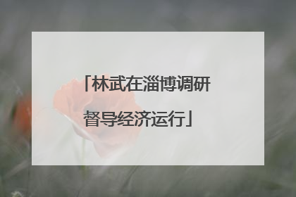 林武在淄博调研督导经济运行