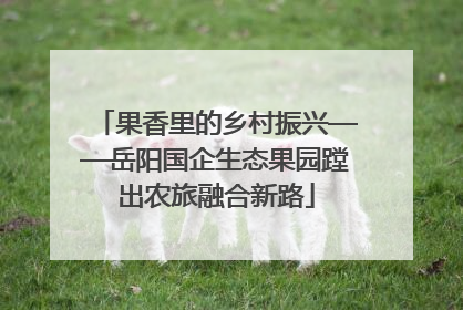 果香里的乡村振兴——岳阳国企生态果园蹚出农旅融合新路