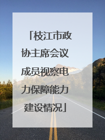 枝江市政协主席会议成员视察电力保障能力建设情况