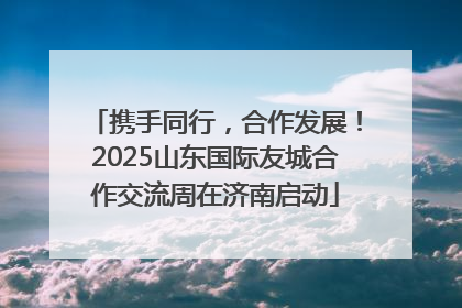 携手同行，合作发展！2025山东国际友城合作交流周在济南启动