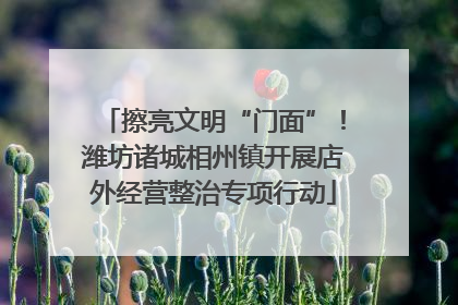 擦亮文明“门面”！潍坊诸城相州镇开展店外经营整治专项行动