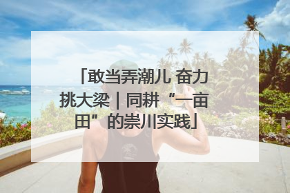 敢当弄潮儿 奋力挑大梁｜同耕“一亩田”的崇川实践