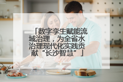 数字孪生赋能流域治理，为全省水治理现代化实践贡献“长沙智慧”