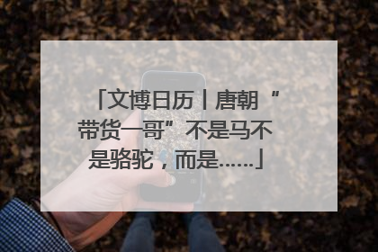 文博日历丨唐朝“带货一哥”不是马不是骆驼，而是……