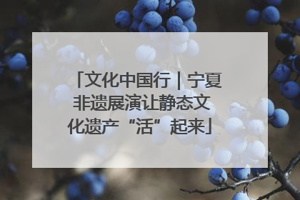 文化中国行｜宁夏 非遗展演让静态文化遗产“活”起来