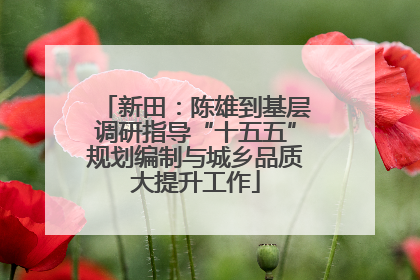 新田：陈雄到基层调研指导“十五五”规划编制与城乡品质大提升工作