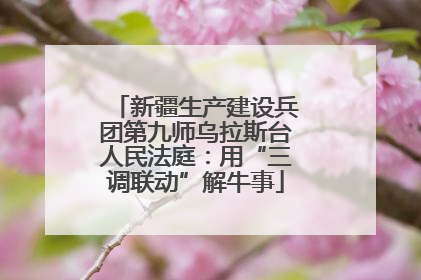 新疆生产建设兵团第九师乌拉斯台人民法庭：用“三调联动”解牛事