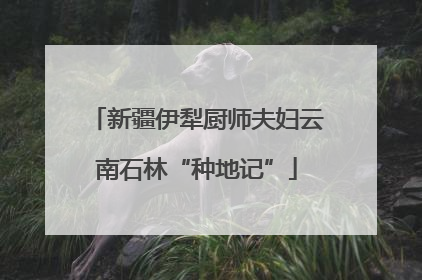 新疆伊犁厨师夫妇云南石林“种地记”