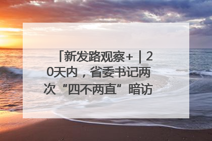 新发路观察+｜20天内，省委书记两次“四不两直”暗访，有何深意？