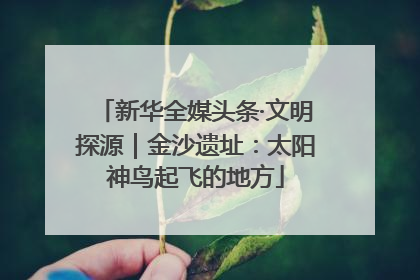 新华全媒头条·文明探源｜金沙遗址：太阳神鸟起飞的地方