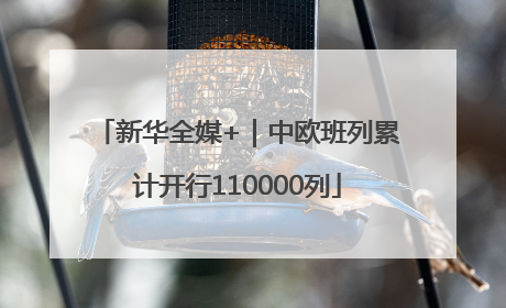 新华全媒+｜中欧班列累计开行110000列