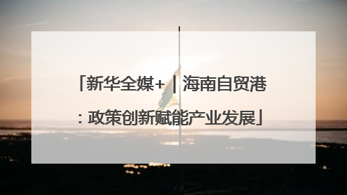 新华全媒+｜海南自贸港：政策创新赋能产业发展