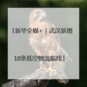 新华全媒+｜武汉新增10条低空物流航线