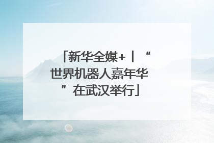 新华全媒+丨“世界机器人嘉年华”在武汉举行