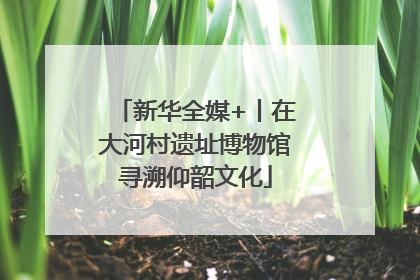 新华全媒+丨在大河村遗址博物馆寻溯仰韶文化