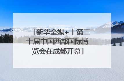 新华全媒+丨第二十届中国西部国际博览会在成都开幕