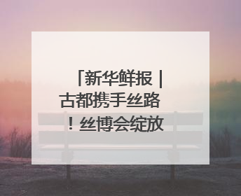 新华鲜报｜古都携手丝路！丝博会绽放新活力