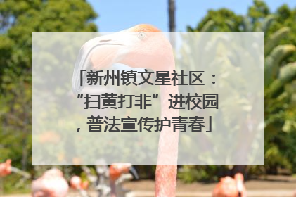 新州镇文星社区：“扫黄打非”进校园，普法宣传护青春