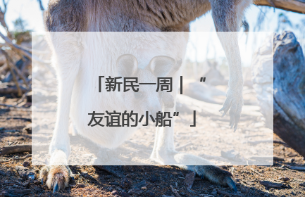 新民一周｜“友谊的小船”