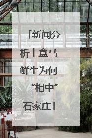 新闻分析丨盒马鲜生为何“相中”石家庄