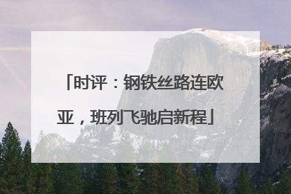 时评：钢铁丝路连欧亚，班列飞驰启新程