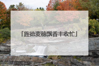 旌德麦穗飘香丰收忙