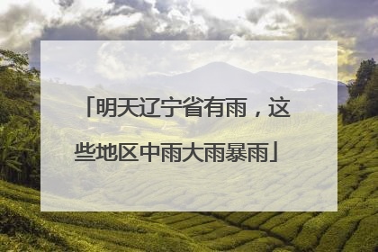 明天辽宁省有雨，这些地区中雨大雨暴雨