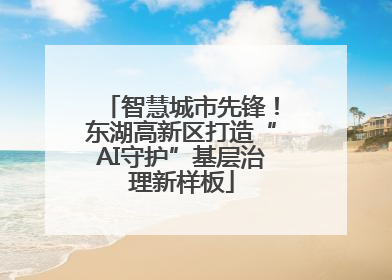 智慧城市先锋！东湖高新区打造“AI守护”基层治理新样板