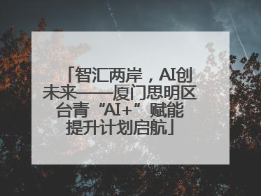 智汇两岸，AI创未来——厦门思明区台青“AI+”赋能提升计划启航