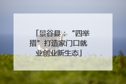 景谷县：“四举措”打造家门口就业创业新生态