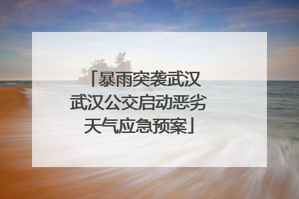 暴雨突袭武汉 武汉公交启动恶劣天气应急预案